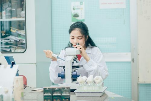 Thu hút, trọng dụng nhân tài: Cần giải pháp căn cơ