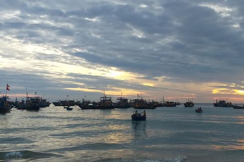 Thúc đẩy thực hiện đồng quản lý theo Luật Thủy sản 2017 tại Việt Nam