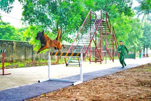 Chuẩn bị tốt các điều kiện, sẵn sàng bước vào năm học mới