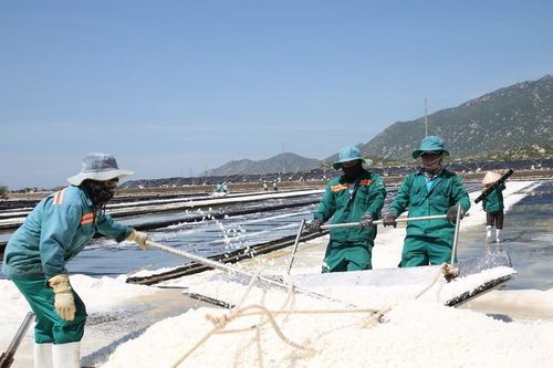 Trăm năm và hành trình nâng cao giá trị hạt muối Ninh Thuận