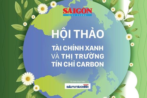 Tham luận hội thảo: 'Tài chính xanh và thị trường tín chỉ Carbon'