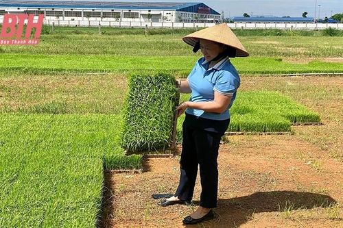 Bà Hoa 'nông nghiệp'