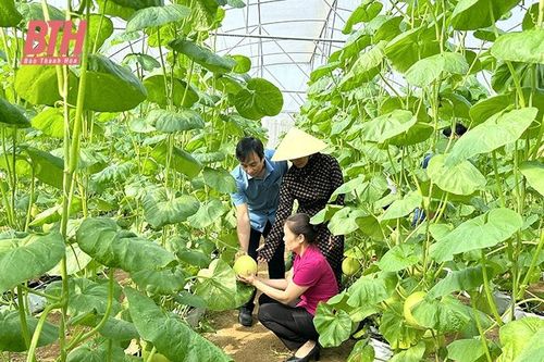 Nông dân thi đua sản xuất, kinh doanh giỏi