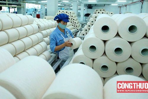 Doanh nghiệp xơ sợi nào hưởng lợi lớn nhất khi nhu cầu sản phẩm dự báo phục hồi tích cực thời gian tới?
