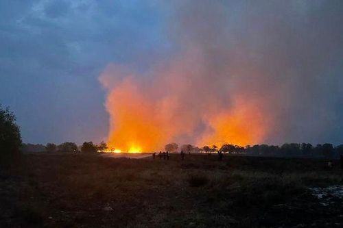 Quảng Trị: Hàng chục héc ta rừng phòng hộ bị cháy đã được khống chế