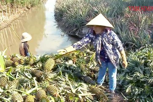 Những 'mũi nhọn' xây dựng nông thôn mới ở Hỏa Tiến