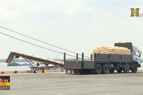 Giá gạo xuất khẩu của Việt Nam cao kỷ lục