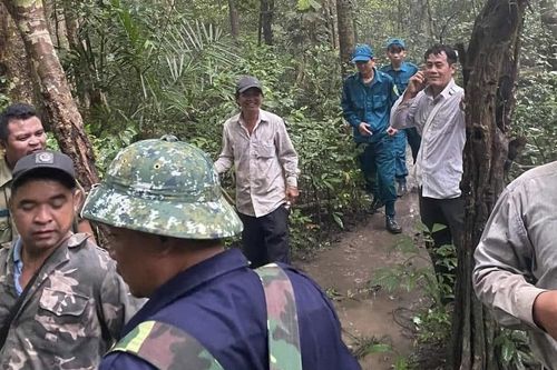 Đồng Nai khẩn trương tìm kiếm người đàn ông đi lạc ở rừng Cát Tiên nhiều ngày