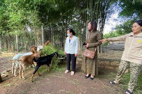 Nhân rộng mô hình hỗ trợ sinh kế cho người nghèo