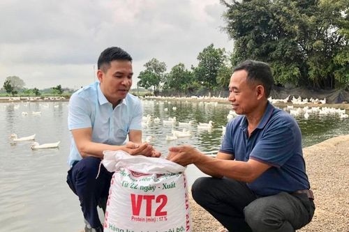 Liên kết phát triển chuỗi thực phẩm sạch