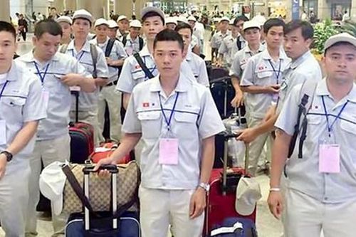 Thị trường lao động nước nào lương cao được nhiều người Việt Nam lựa chọn?