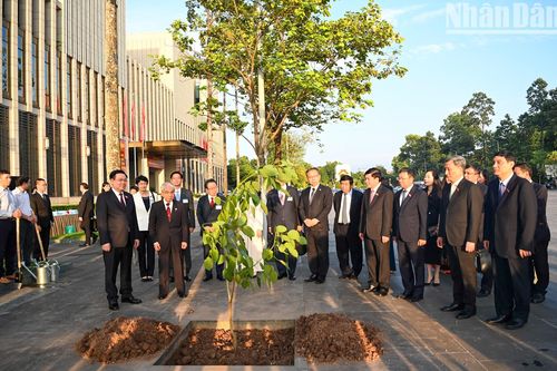 Chủ tịch Thượng viện Nhật Bản tặng cây Osaka đỏ cho Quốc hội Việt Nam