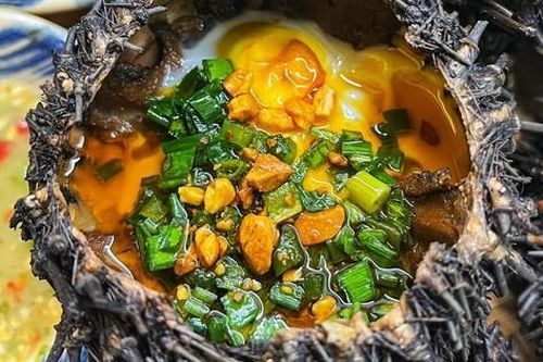 Loại động vật xấu xí, ví như 'nhân sâm của biển'