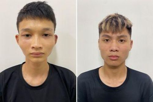 Hải Phòng: Bắt 2 đối tượng trong vụ cướp tài sản manh động trên đồi Thiên Văn