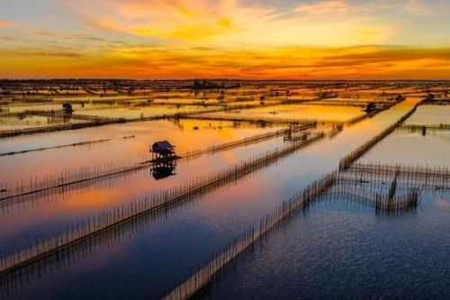Đầm Chuồn - Vẻ đẹp vùng đầm phá mộng mơ