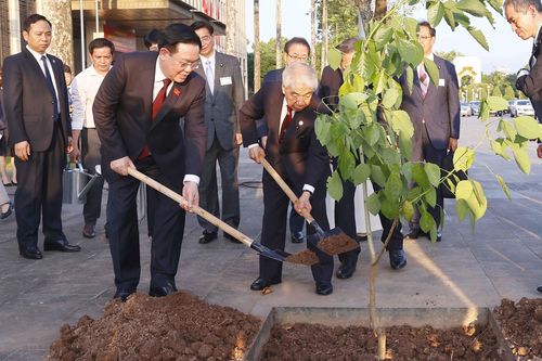 Chủ tịch Thượng viện Nhật Bản tặng cây Osaka đỏ cho Quốc hội Việt Nam