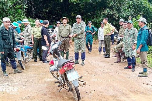Đồng Nai: Hàng trăm người vào rừng tìm kiếm người đàn ông mất tích