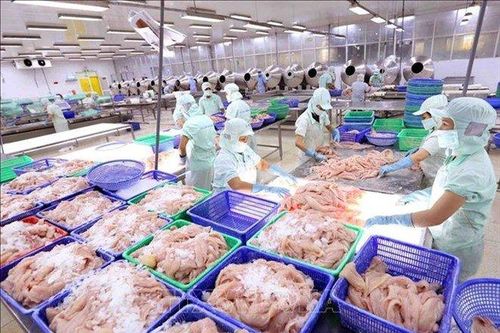 Em trai Chủ tịch HĐQT Cửu Long An Giang bán ra 1 triệu cổ phiếu ACL