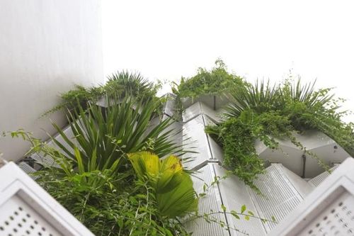 Ngôi nhà độc đáo với mặt tiền ngoài đóng, trong mở