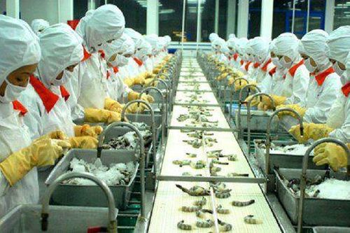 Thu về hơn 22 triệu USD, Sao Ta (FMC) có tháng tăng trưởng dương đầu tiên trong năm