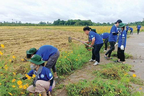 Thanh niên Châu Phú xây dựng quê hương