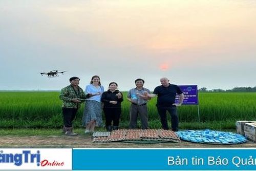 Nông dân đầu tư máy bay không người lái chăm sóc lúa