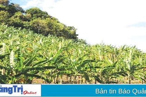 Lửa Khe Sanh và màu xanh Hướng Hóa