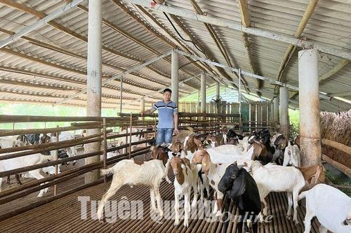 'Trùm' dê ở Làng Chẵng