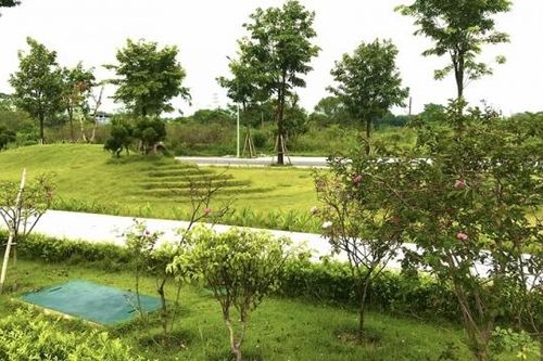 Đắm mình vào Danko xanh