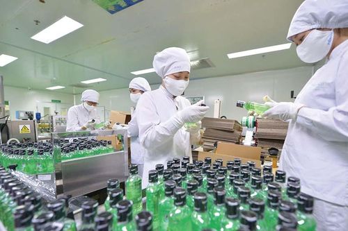Traphaco bị phạt và truy thu thuế 2,4 tỷ đồng