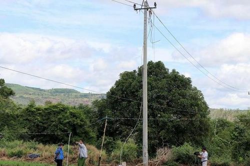 Hai công nhân thương vong khi sửa chữa tuyến dây 22Kv