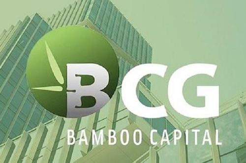 Bamboo Capital cảnh báo việc mạo danh doanh nghiệp để lừa đảo