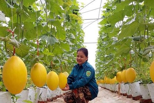 Bắc Kạn: Tận dụng lợi thế từ chỉ số xanh thúc đẩy kinh doanh bền vững