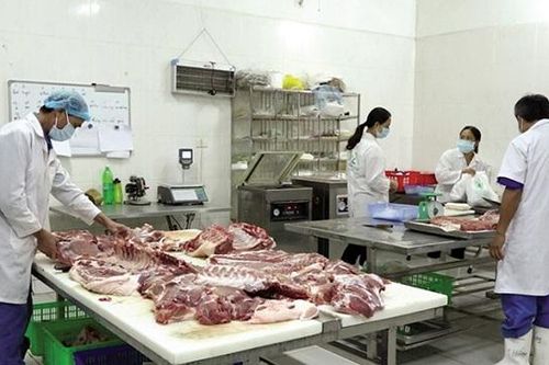 Giúp nhà nông vơi nỗi lo được mùa, mất giá