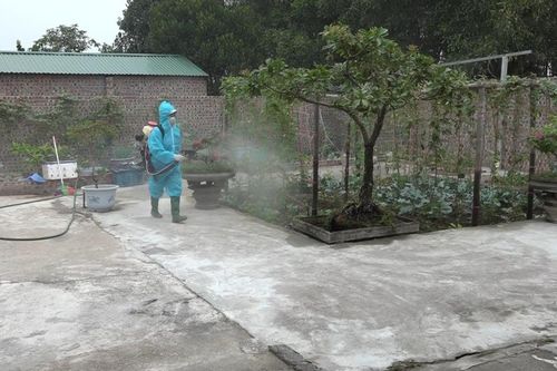 Ba Vì: Đẩy mạnh phòng chống dịch bệnh sốt xuất huyết tại trường học