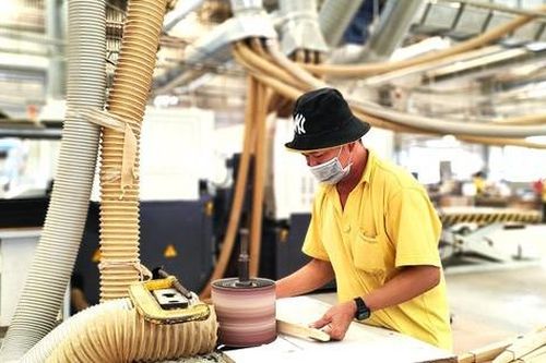 TPHCM chủ động tham gia thị trường tín chỉ carbon