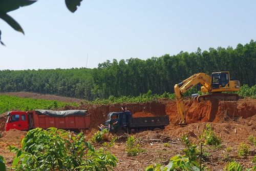 Huyện chỉ đạo xử lý tình trạng khai thác đất trái phép Báo GD&TĐ phản ánh