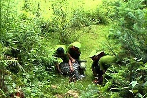Đình nã một bị can trong vụ án 'Tổ chức, môi giới cho người khác trốn đi nước ngoài'