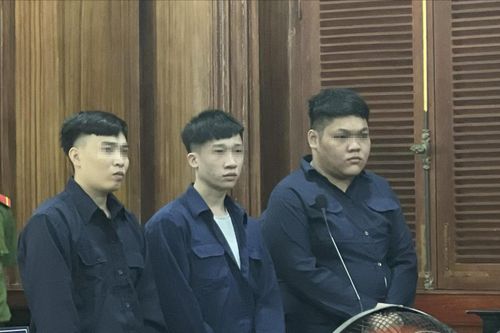 Mua bán ma túy ngụy trang trong thú nhồi bông
