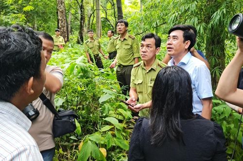 Bình Thuận khảo sát thực địa khu vực 600 ha rừng làm hồ chứa nước Ka Pét