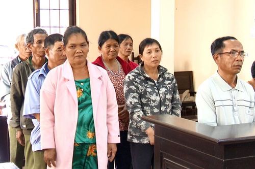 Xét xử các đối tượng hủy hoại rừng gây thiệt hại hàng trăm triệu đồng