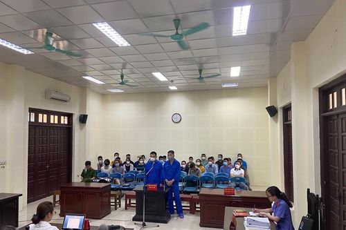 Tăng cường xử lý tội phạm về động vật hoang dã tại Việt Nam