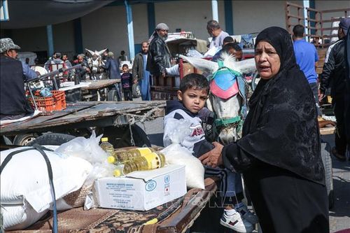 Ai Cập kêu gọi quốc tế duy trì tài trợ cho cơ quan cứu trợ người tị nạn Palestine