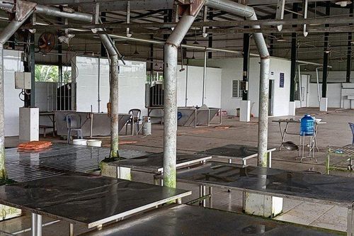 Đồng Nai: Cơ sở giết mổ tiền tỷ vắng lặng, lò mổ lậu âm thầm hoạt động
