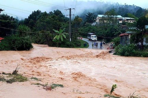 Quảng Nam: Thương tâm người phụ nữ bị nước lũ cuốn khi đi gặt lúa
