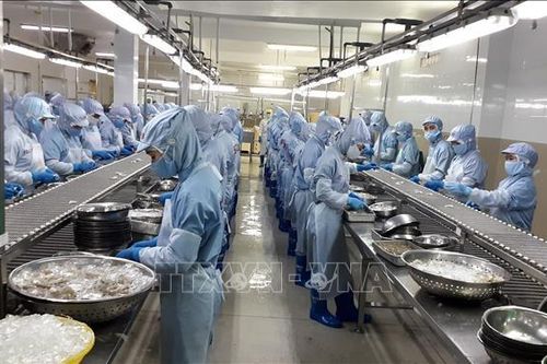 Xuất khẩu gạo 8 tháng của Sóc Trăng tăng hơn 16,5%