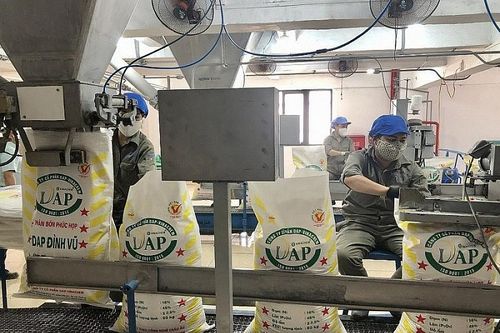 Thiệt hại hàng nghìn tỷ mỗi năm, sao mãi chưa sửa Luật thuế 71?