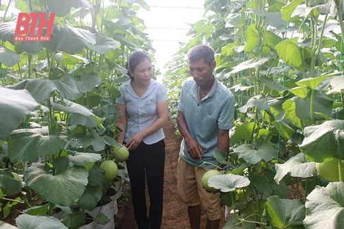 Chi hội trưởng nông dân năng động, sáng tạo