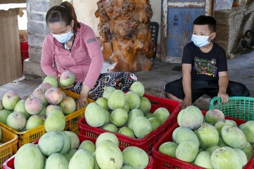 Chào mừng Đại hội đại biểu Hội Nông dân tỉnh Khánh Hòa lần thứ XII, nhiệm kỳ 2023 - 2028 Lan tỏa phong trào nông dân sản xuất kinh doanh giỏi