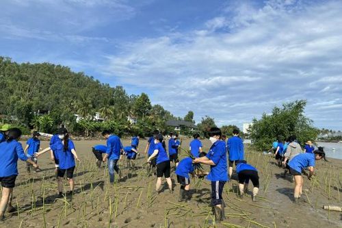 Bảo tồn, phát huy bền vững giá trị vịnh Nha Trang Kỳ 3: Còn nhiều việc phải làm